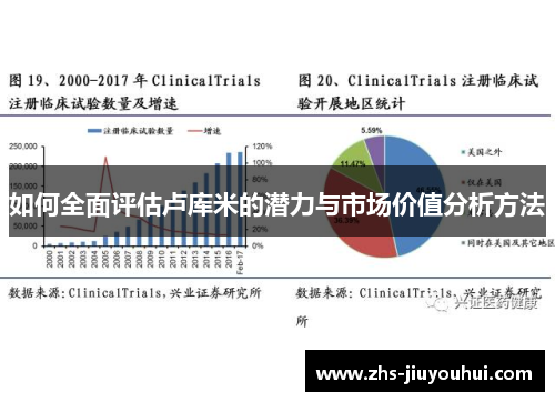 如何全面评估卢库米的潜力与市场价值分析方法