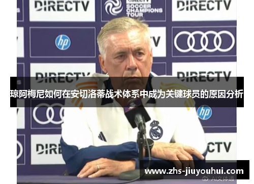 琼阿梅尼如何在安切洛蒂战术体系中成为关键球员的原因分析